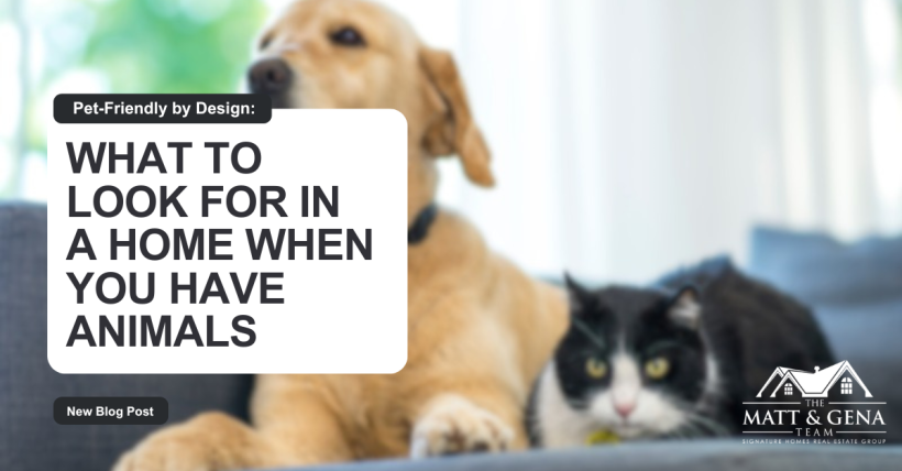 Pet-Friendly by Design: What to Look for in a Home When You Have Animals